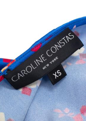 Caroline Constas Colette Dress in Blue Floral 4