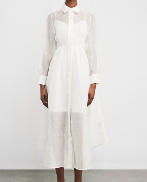 Zimmermann Linen-Silk Shirt Dress 2