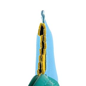 Hermes Celeste Milo Lambskin and Swift Grigri Rodeo Pegase Bag Charm PM 3