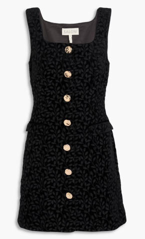 Saloni Mika Embroidered Velvet Mini Dress 5