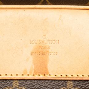 Louis Vuitton Coated Canvas Monogram Evasion 5