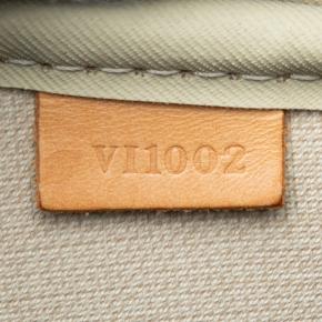 Louis Vuitton Coated Canvas Monogram Evasion 6