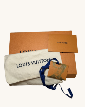 Louis Vuitton Coated Canvas And Leather Bag 10