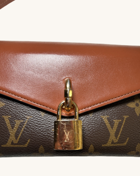 Louis Vuitton Coated Canvas And Leather Bag 7
