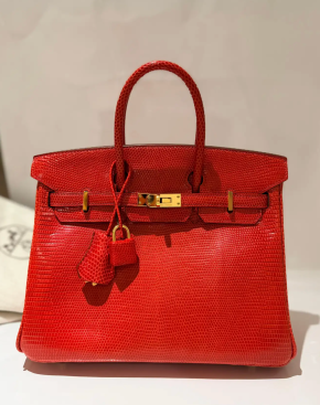 Hermes Birkin Rouge Exotique Niloticus Lizard 25cms 2