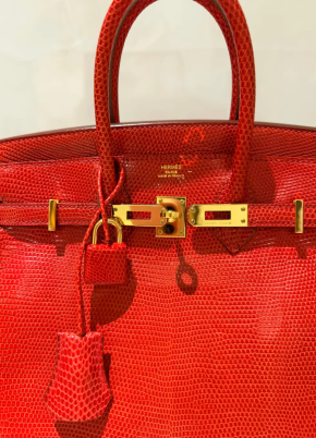 Hermes Birkin Rouge Exotique Niloticus Lizard 25cms 8