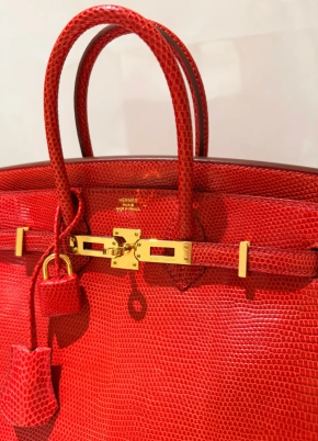 Hermes Birkin Rouge Exotique Niloticus Lizard 25cms 4
