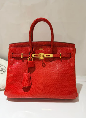 Hermes Birkin Rouge Exotique Niloticus Lizard 25cms 5