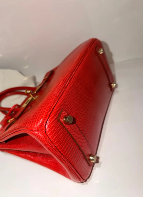 Hermes Birkin Rouge Exotique Niloticus Lizard 25cms 3