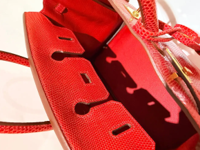 Hermes Birkin Rouge Exotique Niloticus Lizard 25cms 9