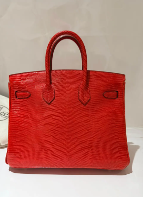 Hermes Birkin Rouge Exotique Niloticus Lizard 25cms 6