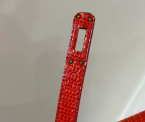 Hermes Birkin Rouge Exotique Niloticus Lizard 25cms 11