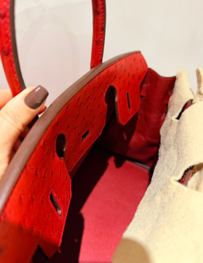 Hermes Birkin 30 in Red Ostrich GHW 5