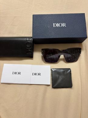 Dior Blue Mask Sunglasses 2