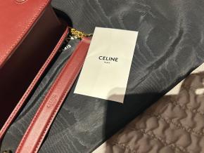 Celine Medium Triomphe Bag 8