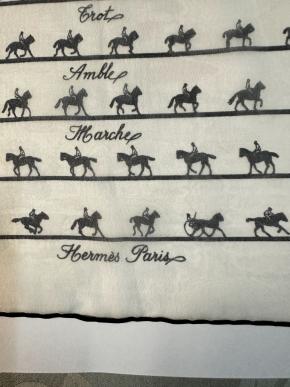 Hermes Les Allures Du Cheval Scarf 42cms 6