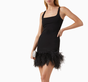 16Arlington  Marabou Feather-Trim Mini Dress 2