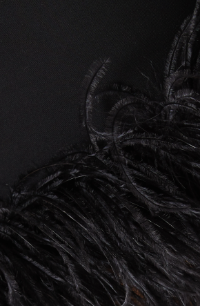 16Arlington  Marabou Feather-Trim Mini Dress 3