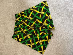 Bottega Veneta Printed High Waist Shorts 3