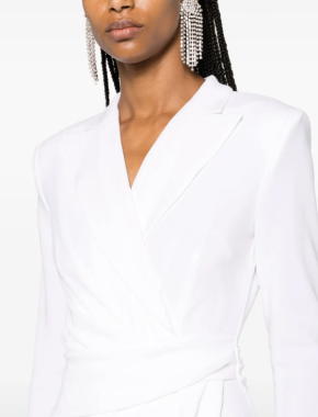 Talbot Runhof Draped Crepe Maxi Dress 6