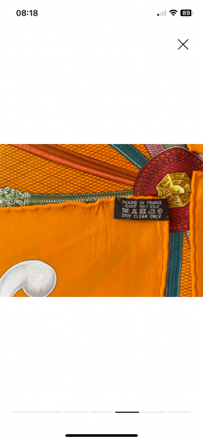 Hermes Orange Cannes et Pommeaux Silk Scarf 5