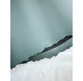 Loewe Green Distressed Leather Shorts 9