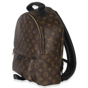 Louis Vuitton Coated Canvas Palm Springs MM 4