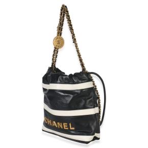 Chanel  Mini Quilted Calfskin 22 Hobo 3