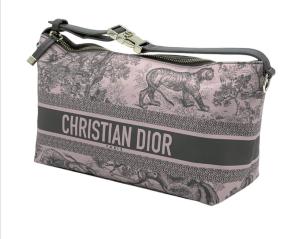 Dior Toile De Juoy Pouch 2