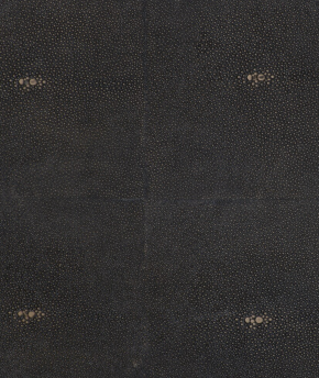 Posh Trading Company Coastbox with Faux Shagreen Coasters (Set of 8) 5