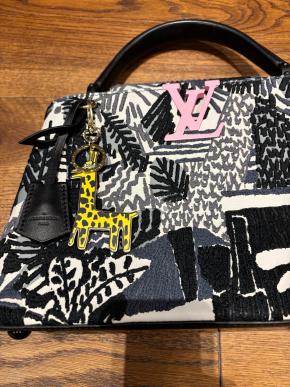 Louis Vuitton Limited Edition Bag 5