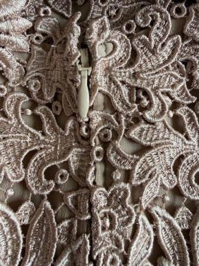 Stella McCartney Nude Lace Dress 13