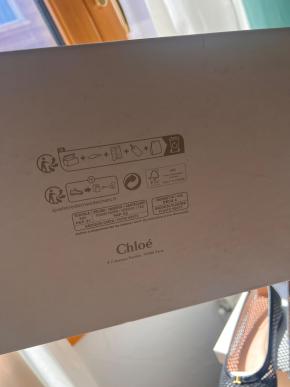 Chloe Metallic Leather Ballet Flats 8