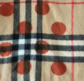 Burberry Limited Edition Cashmere Scarf 4
