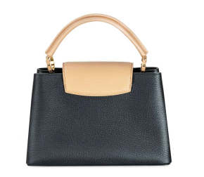 Louis Vuitton Taurillon Capucines PM Bag 2