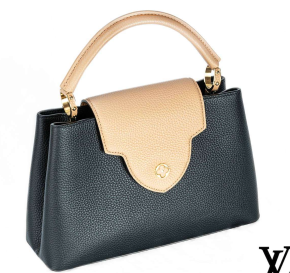 Louis Vuitton Taurillon Capucines PM Bag 4