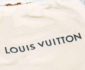 Louis Vuitton Taurillon Capucines PM Bag 6