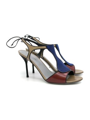 Sergio Rossi Blue and Cherry Heeled Sandals