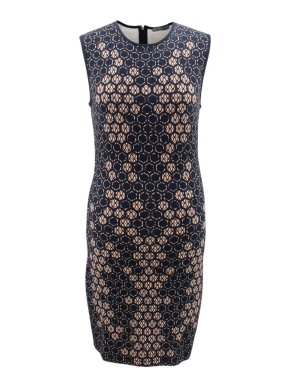 Alexander McQueen Sleeveless Body-con Printed Dress