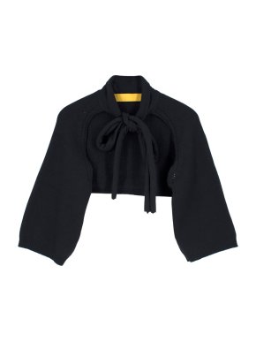Lanvin Cashmere Cropped Pussybow Tie Cardigan