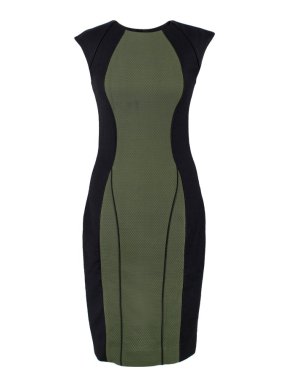 Jason Wu Illusion Wool Dress