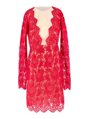 Adriana Minari Lace & Mesh Plunge Long Sleeved Mini Dress