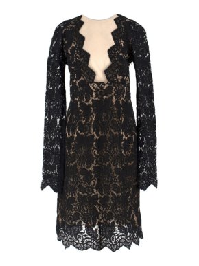Adriana Minari Lace & Mesh Plunge Long Sleeved Mini Dress