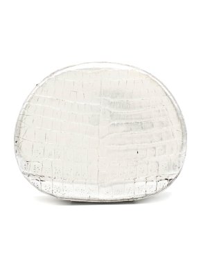 Nancy Gonzalez silver crocodile box clutch