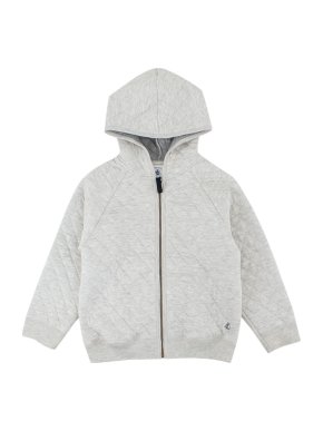 Petit Bateau Boys 5Y Grey Cotton Zipped Hoodie