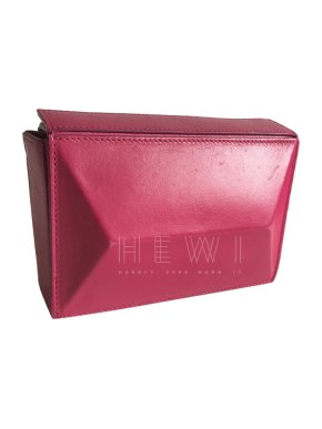 Max Mara Prisma Clutch by Caroline Vreeland