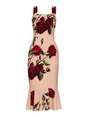 Dolce & Gabbana Nude Rose Print Fitted Dress