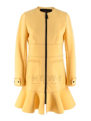 Louis Vuitton Long-Sleeve Zipped A-line Dress