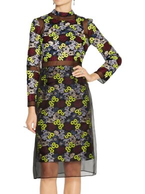 Erdem Phyllis Embroidered Organza Dress