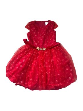 David Charles Red & Gold Girl's Tulle Dress